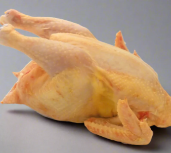 Hard Chicken Whole 900g-1300g | Free-Range Chicken